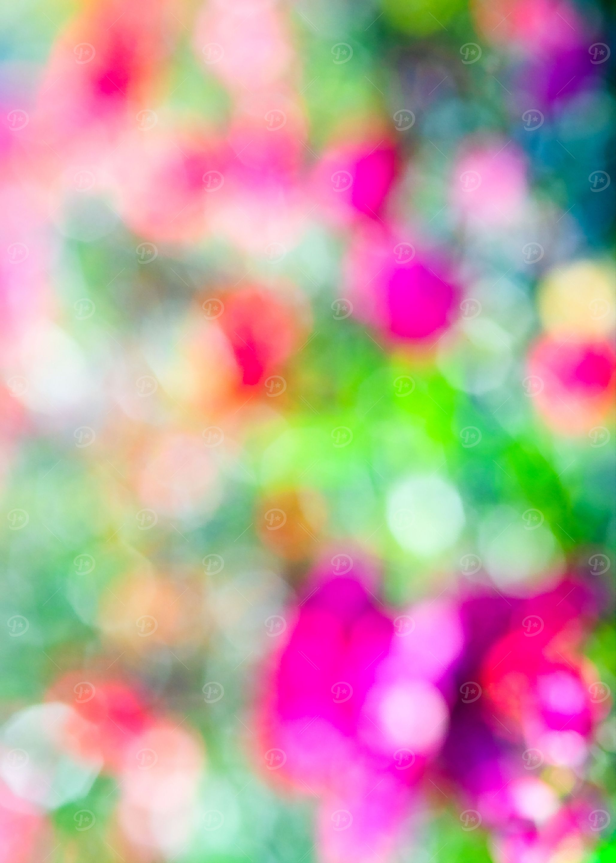 Colorful Floral Abstract