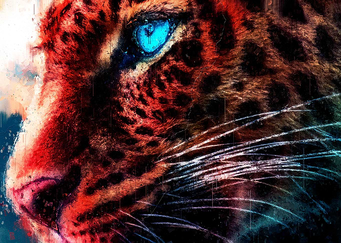 Cheetah Blue Magic Eye