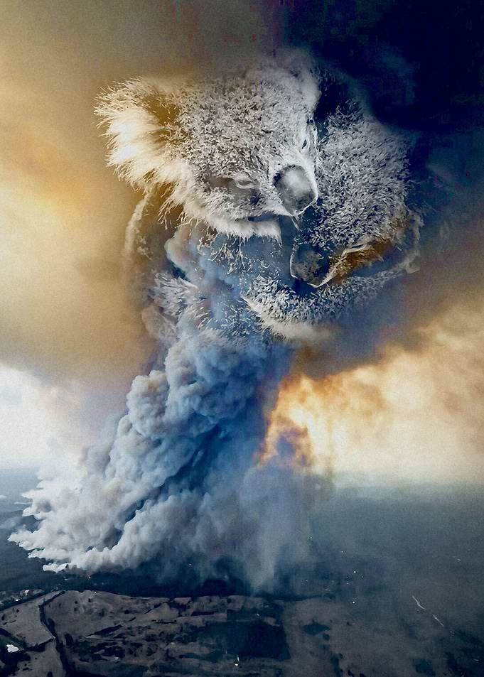 Australia Fire Koala Hug