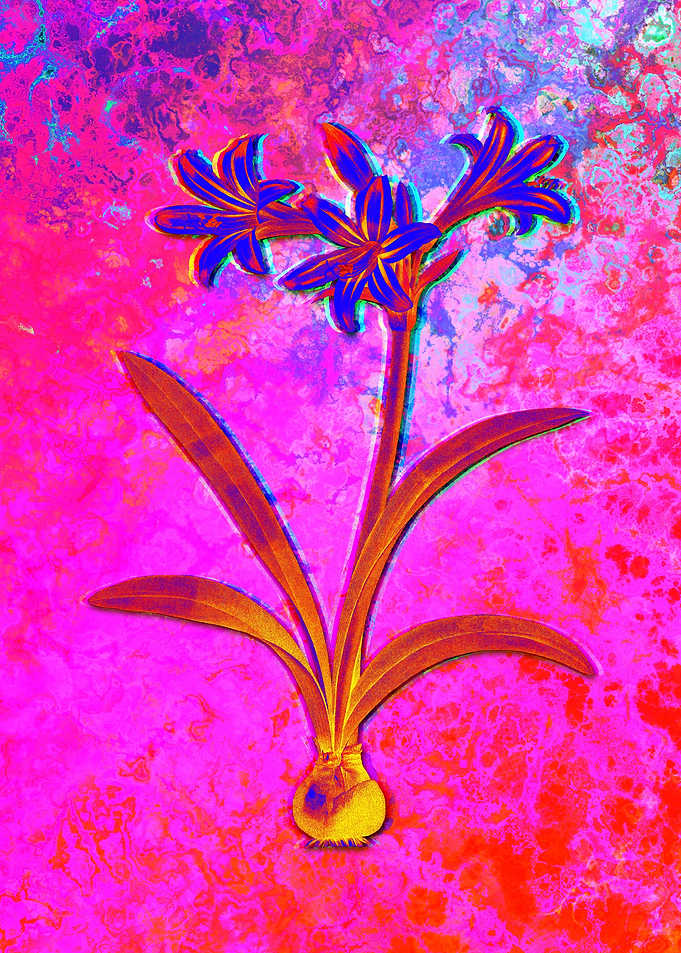 Neon Flower Illustration