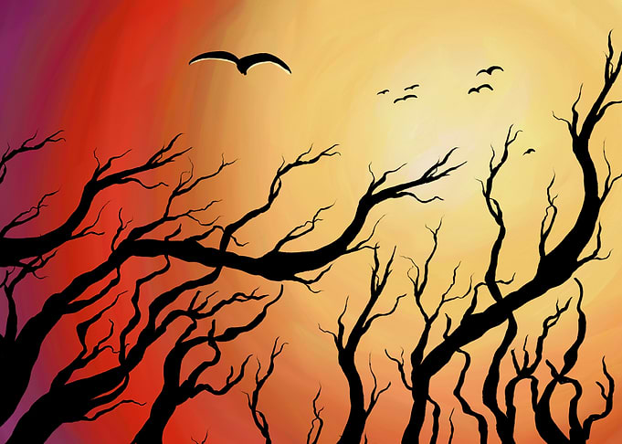 Twisted Sunset