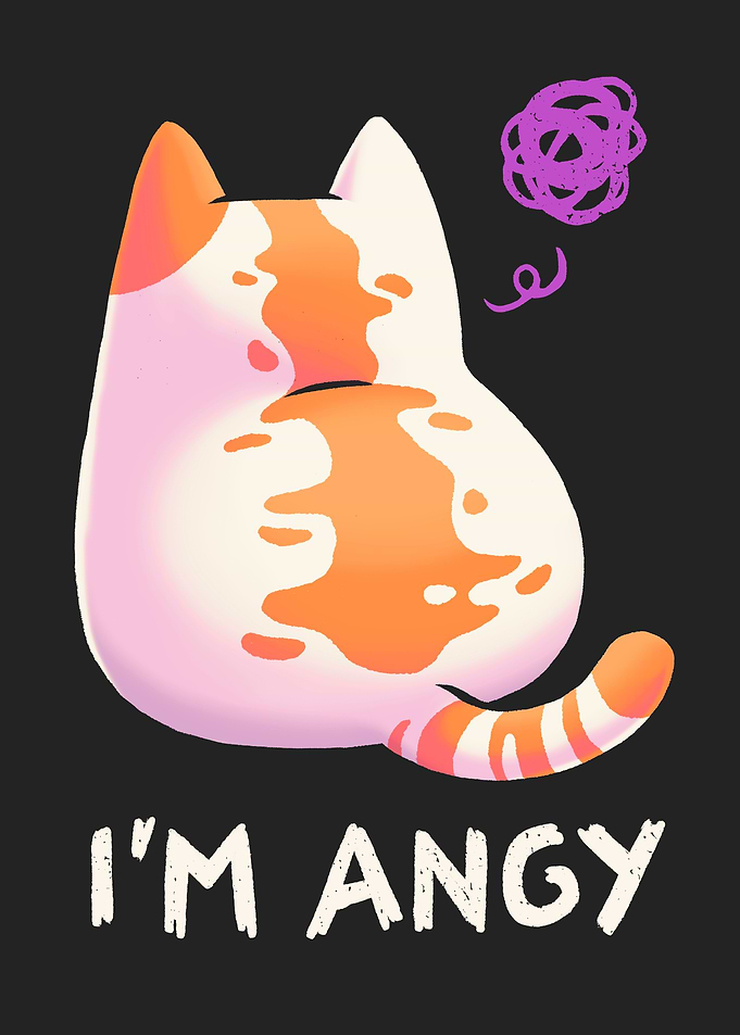 Angy Cute Cat Meme Funny