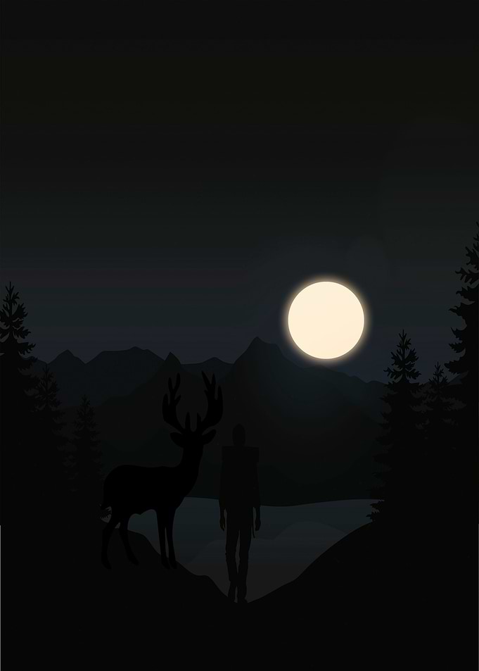 Mountain Landscape Night