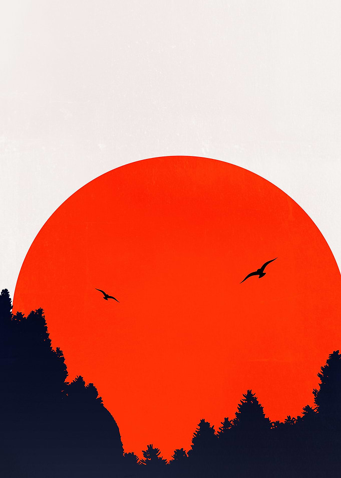 Two Birds