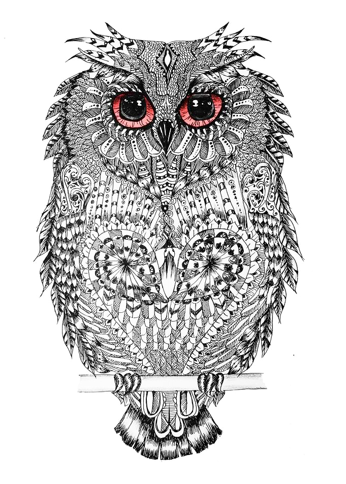 The Owl Line Art
