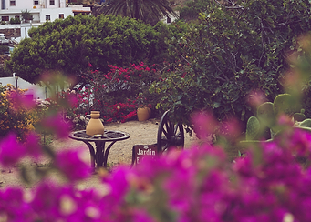 Small garden