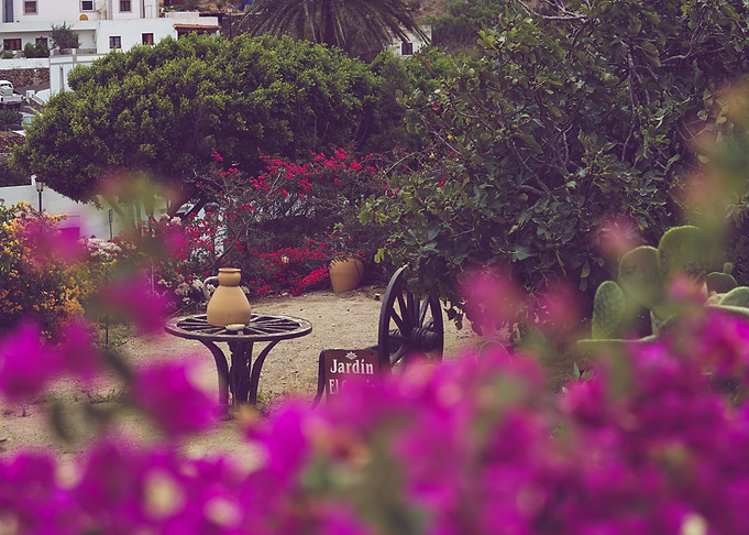 Small garden