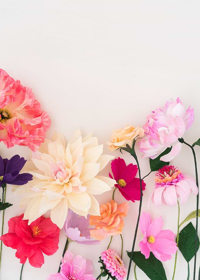 Crepe paper flowers