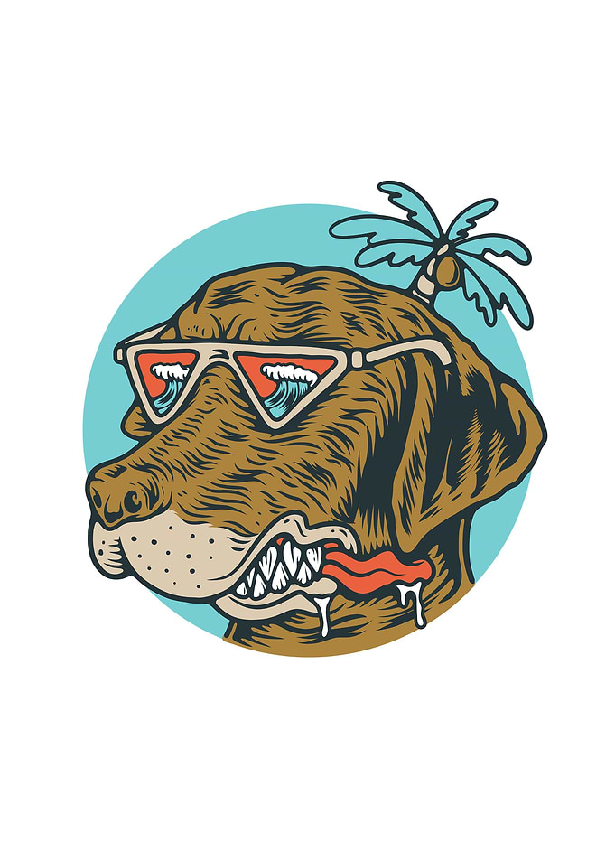 Chill Dog
