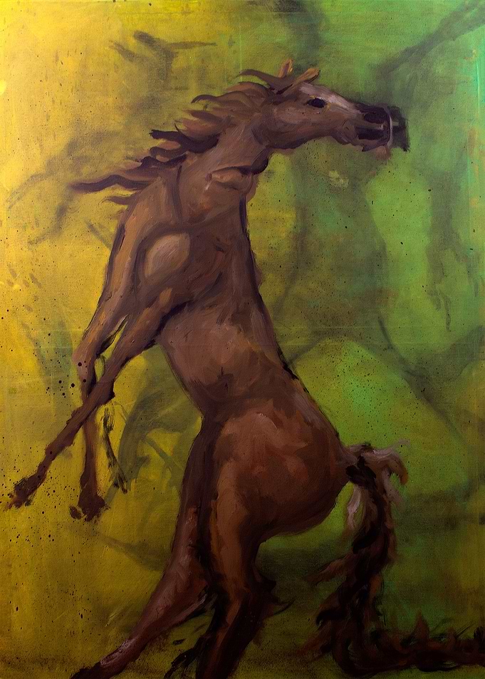 Horse Head Up