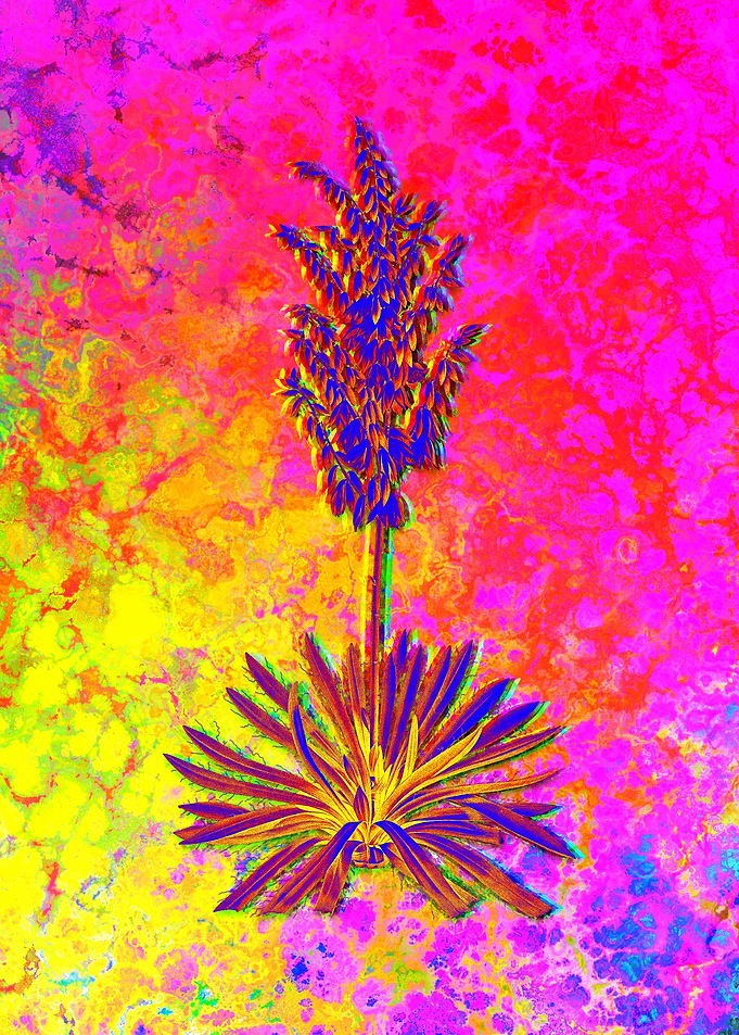 Neon Flower Illustration