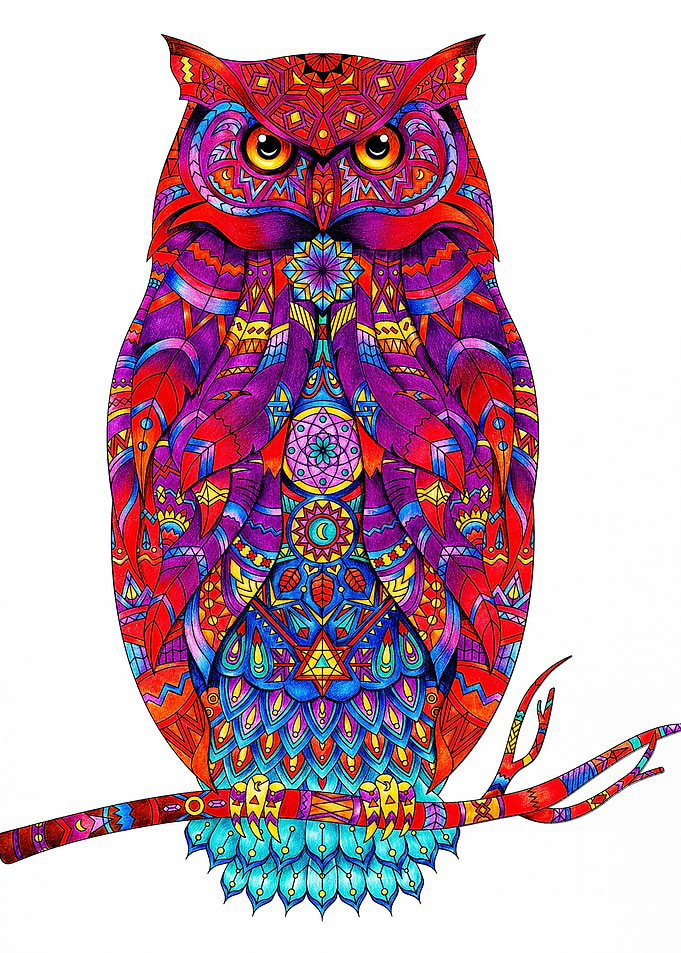 The colorful owl artwork
