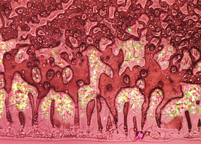 What Do You See