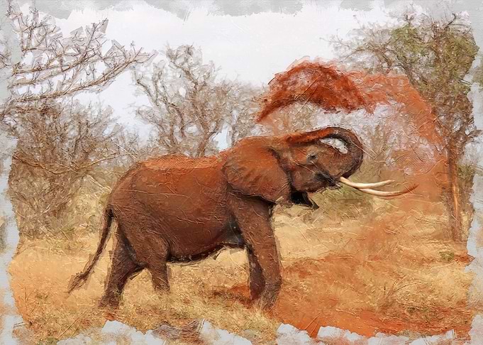 Elephant Playing in Dirt