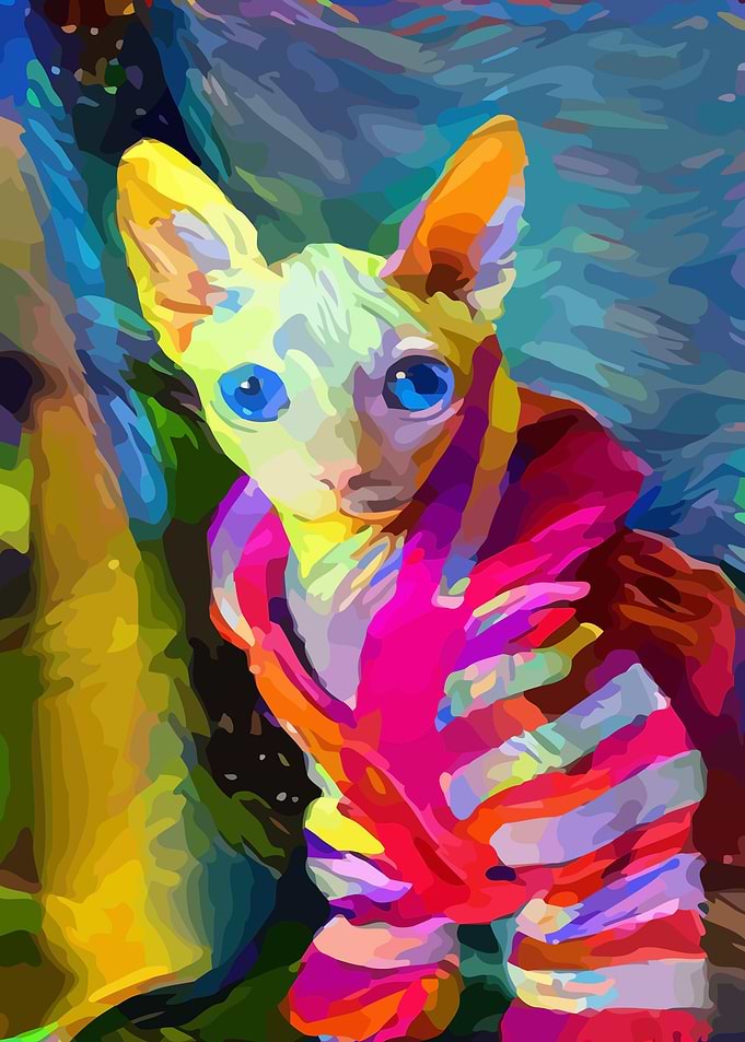 Sphynx Cat