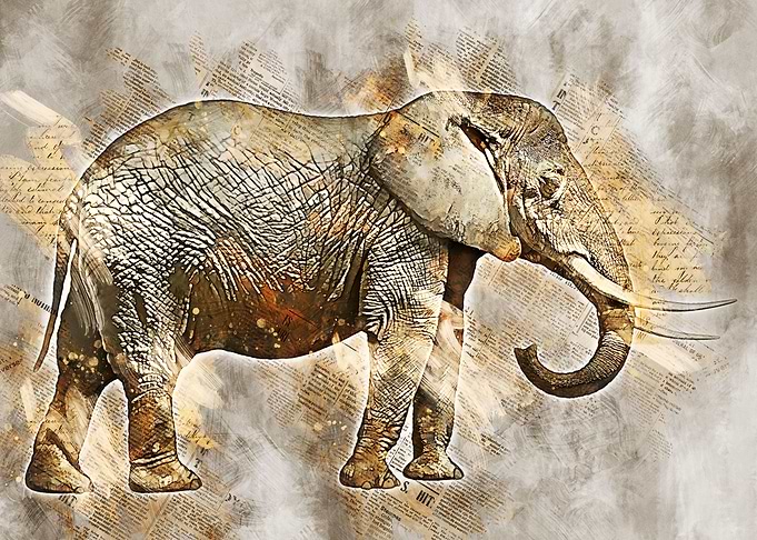 Elephant Art