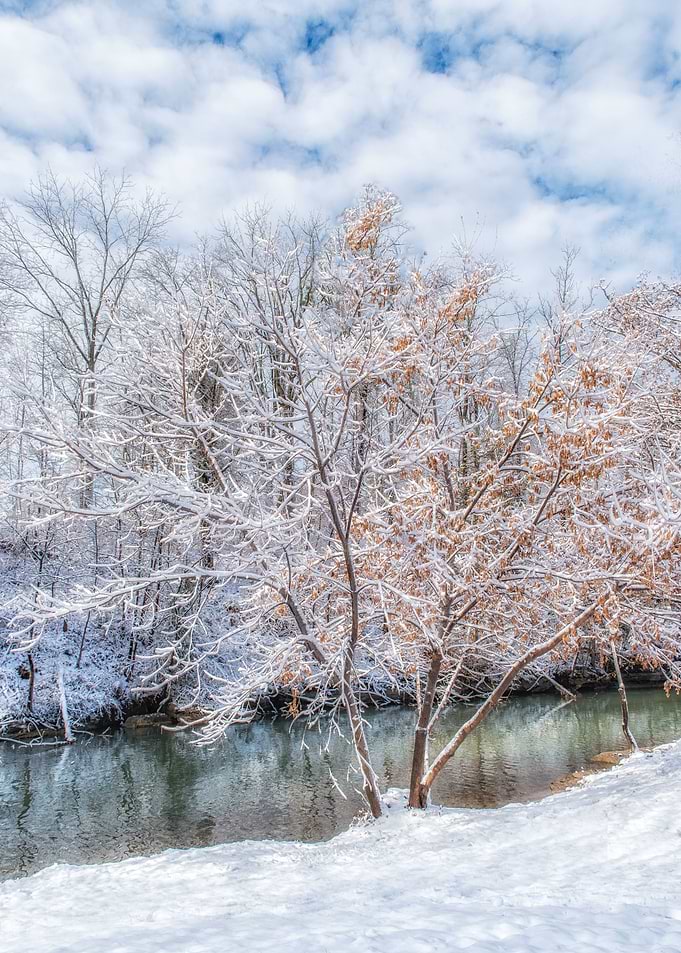 Shades of Winter