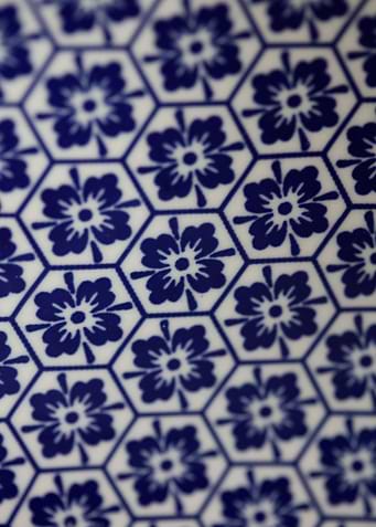 Flowers blue patterns art
