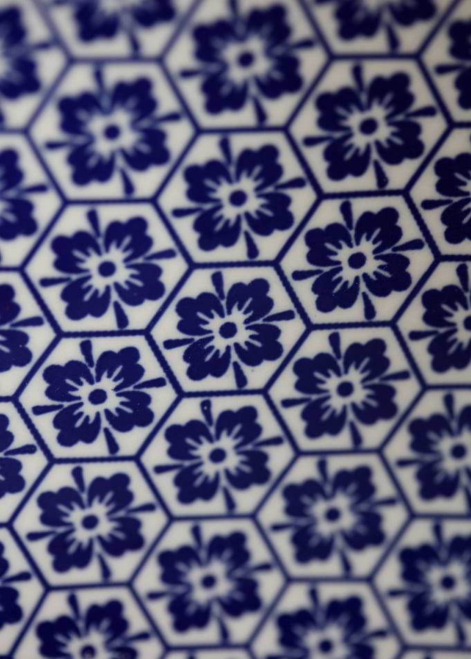 Flowers blue patterns art
