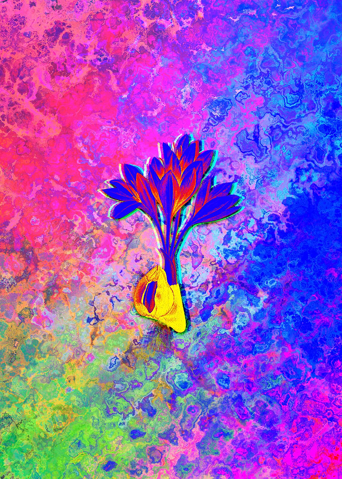Neon Flower Illustration