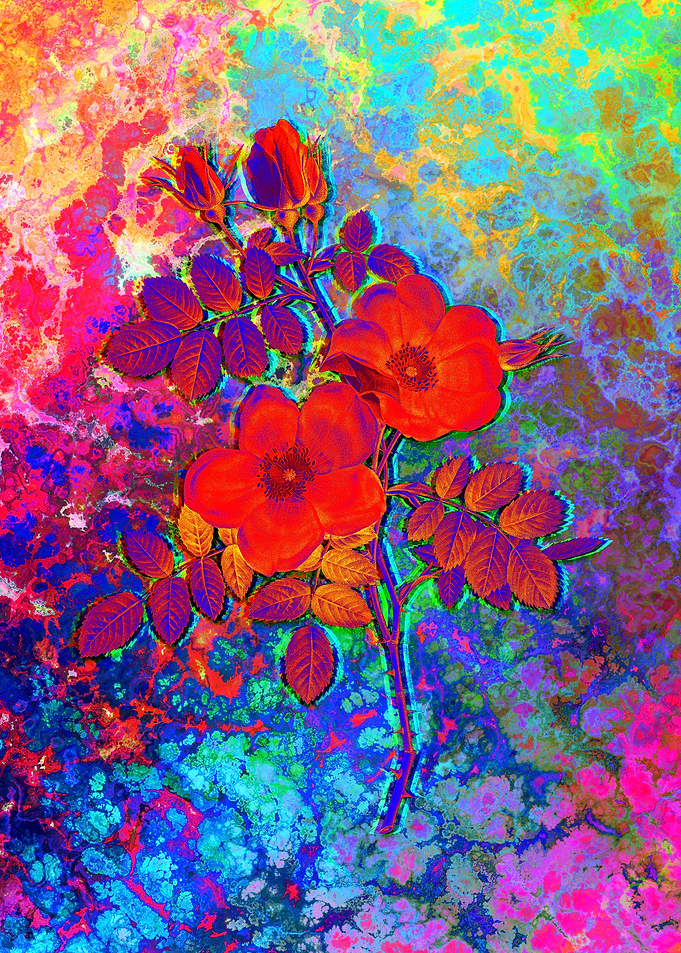 Neon Flower Illustration
