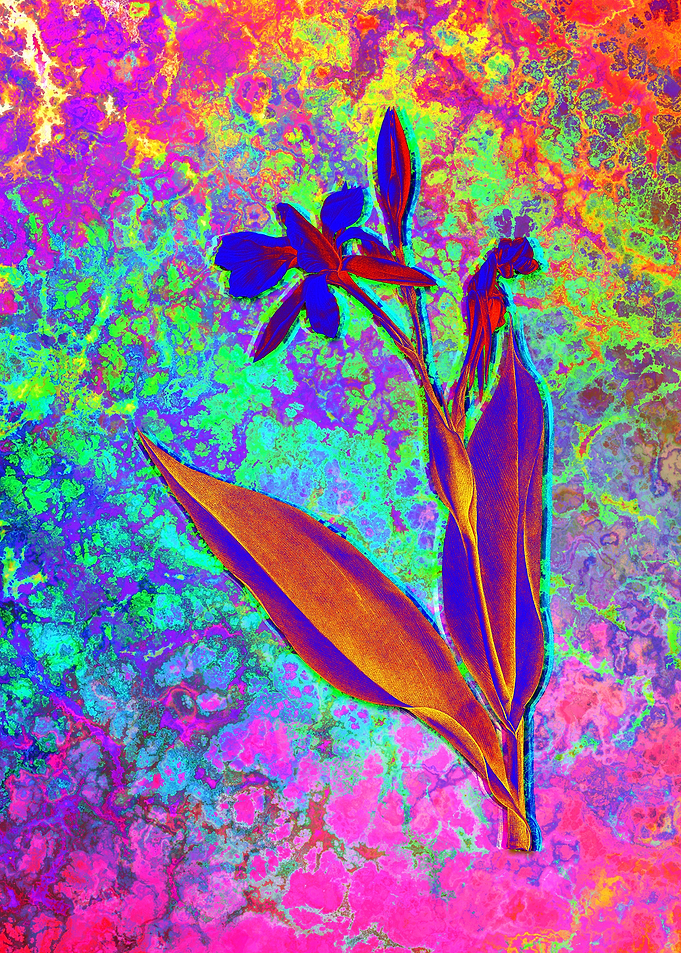Neon Botanical Drawing