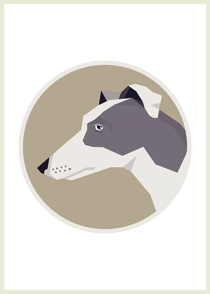 Greyhound