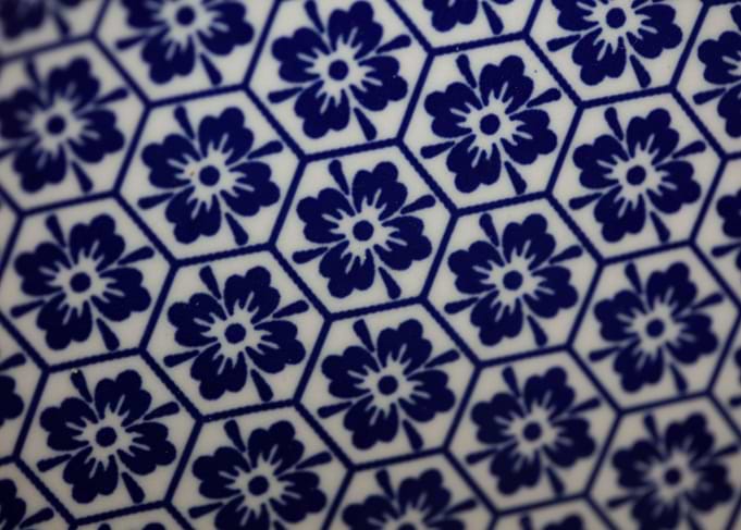 Flowers blue patterns art