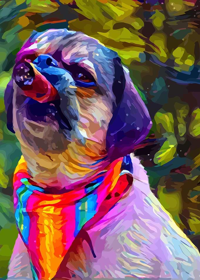 Sir Pug