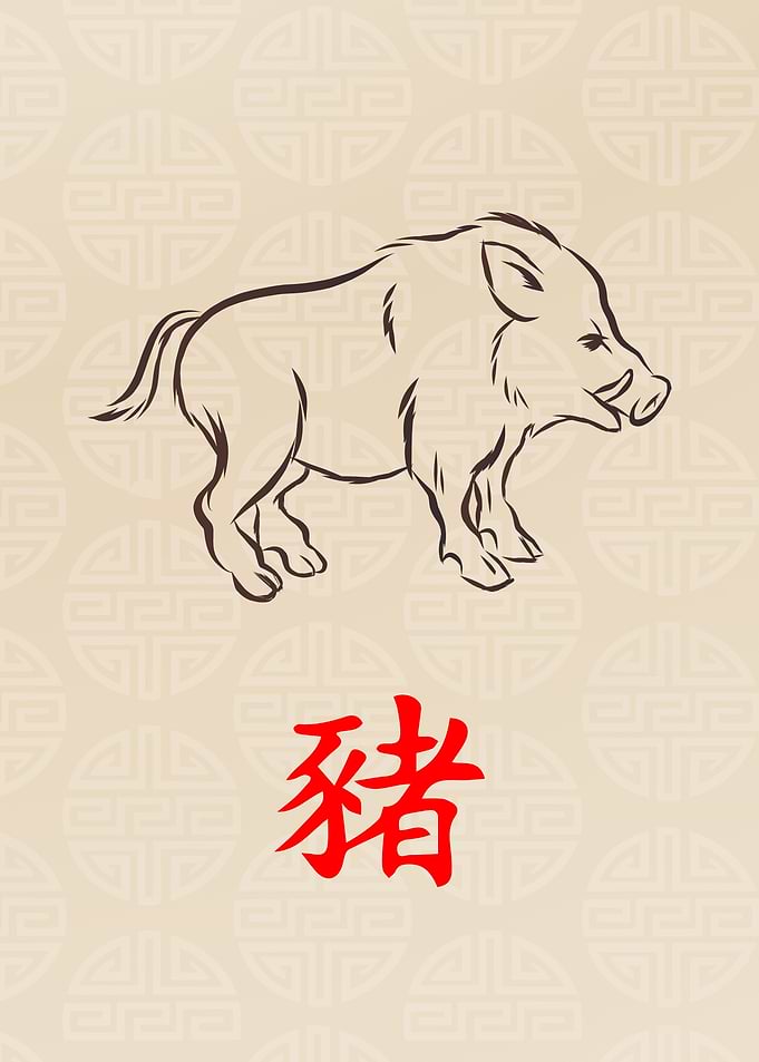 Pig Chinese Zodiac