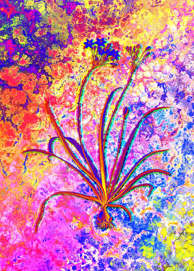 Neon Flower Illustration