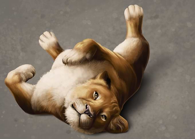 Cuddly lioness