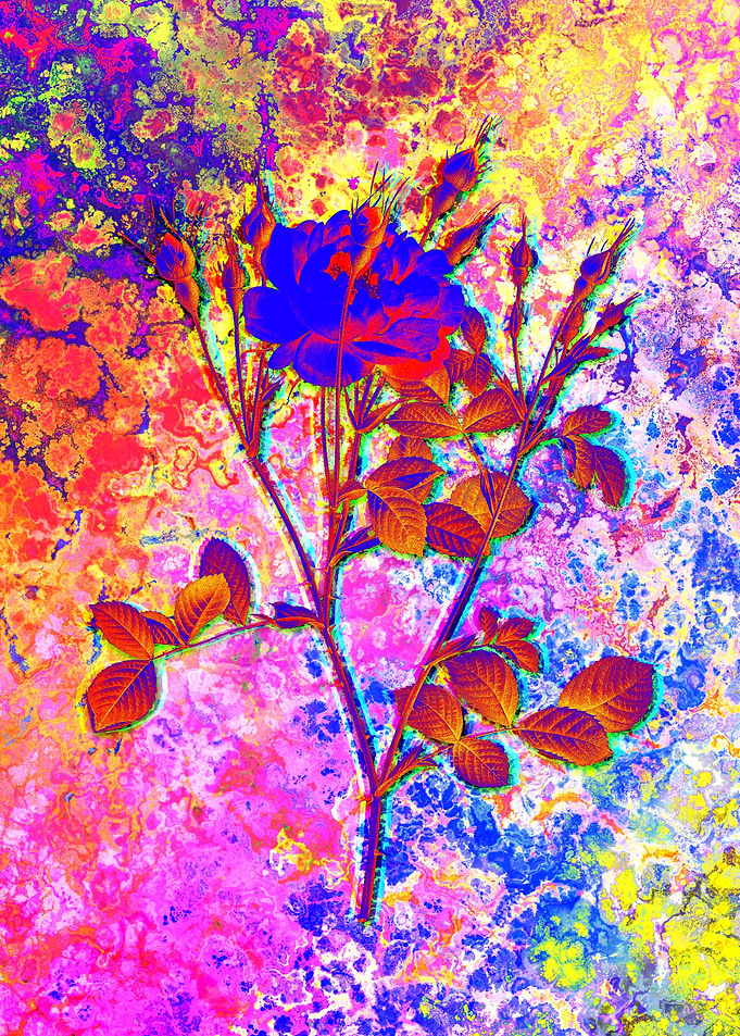 Neon Flower Illustration