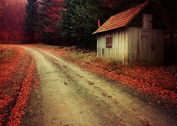 Small house in fall forest
