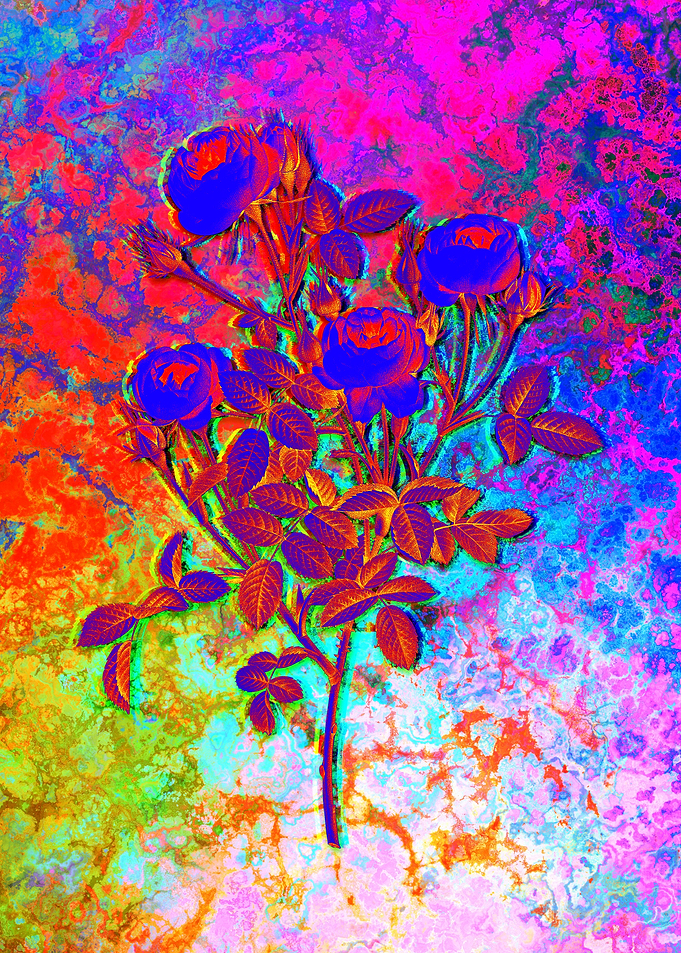 Neon Floral Illustration