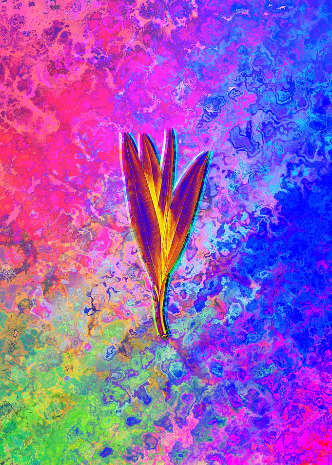 Neon Flower Illustration