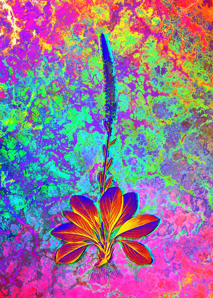 Neon Botanical Drawing