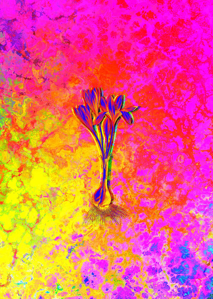 Neon Flower Illustration