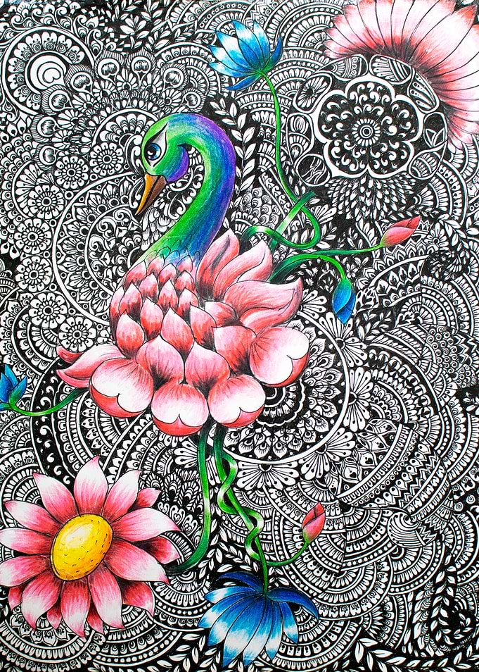 The Intricate Peacock Line