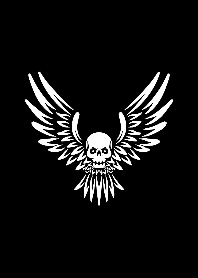 Flying Skull