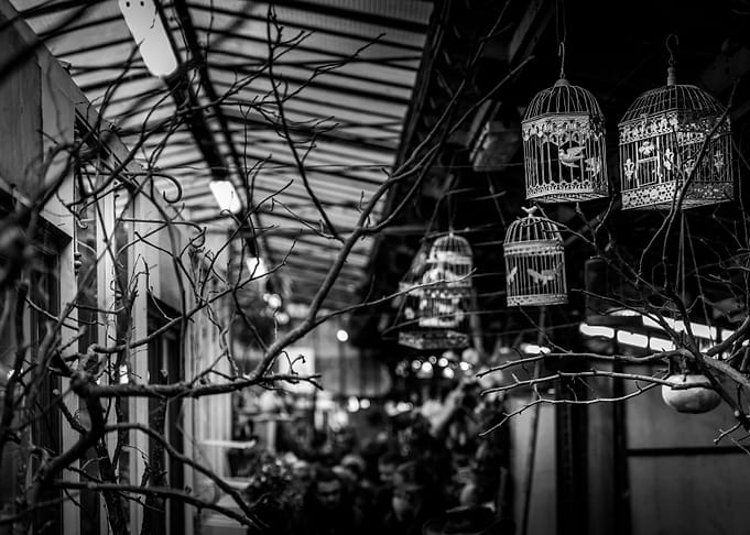 at the market
