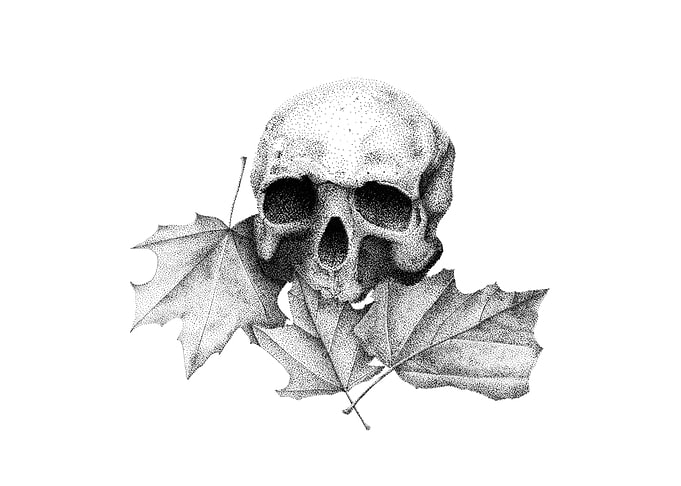 Skull and Leaves