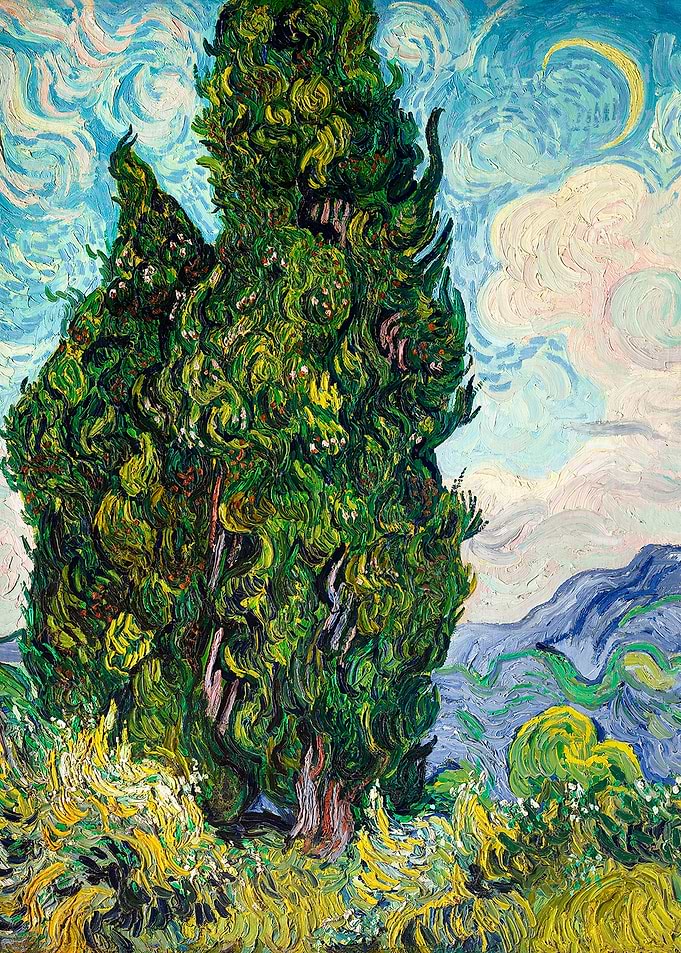 Cypresses