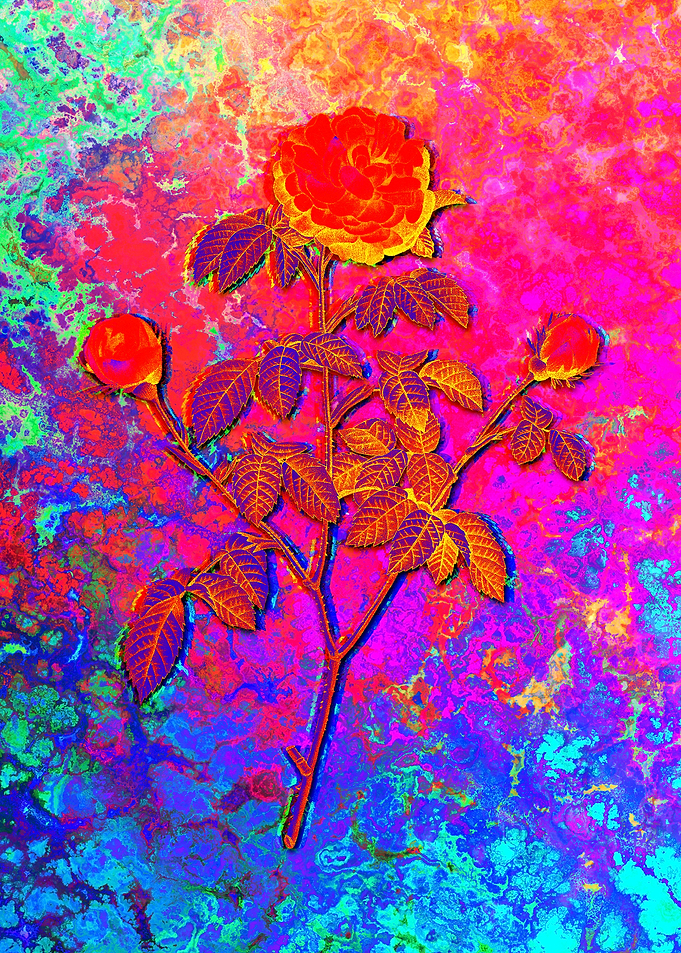 Neon Flower Illustration