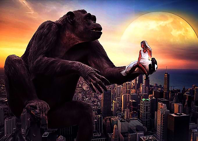 Monkey and woman