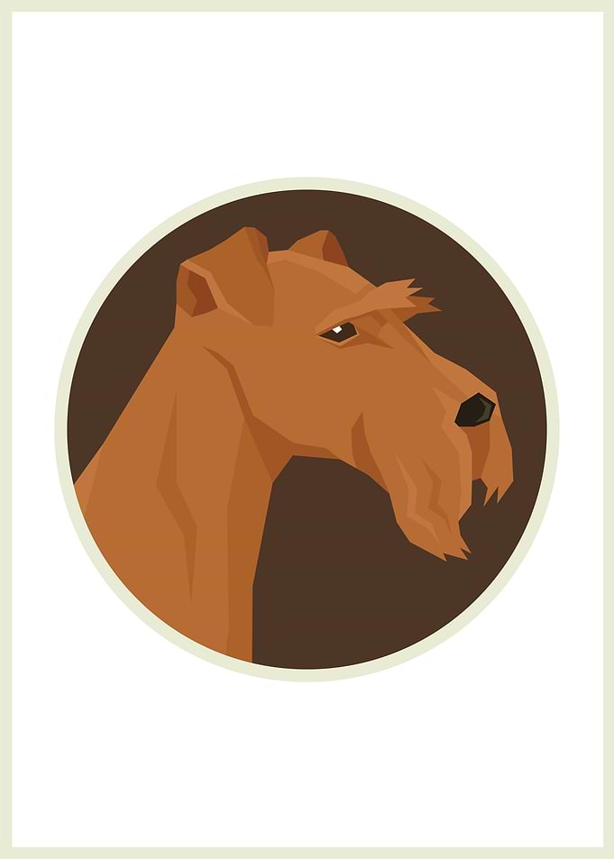 Irish Terrier