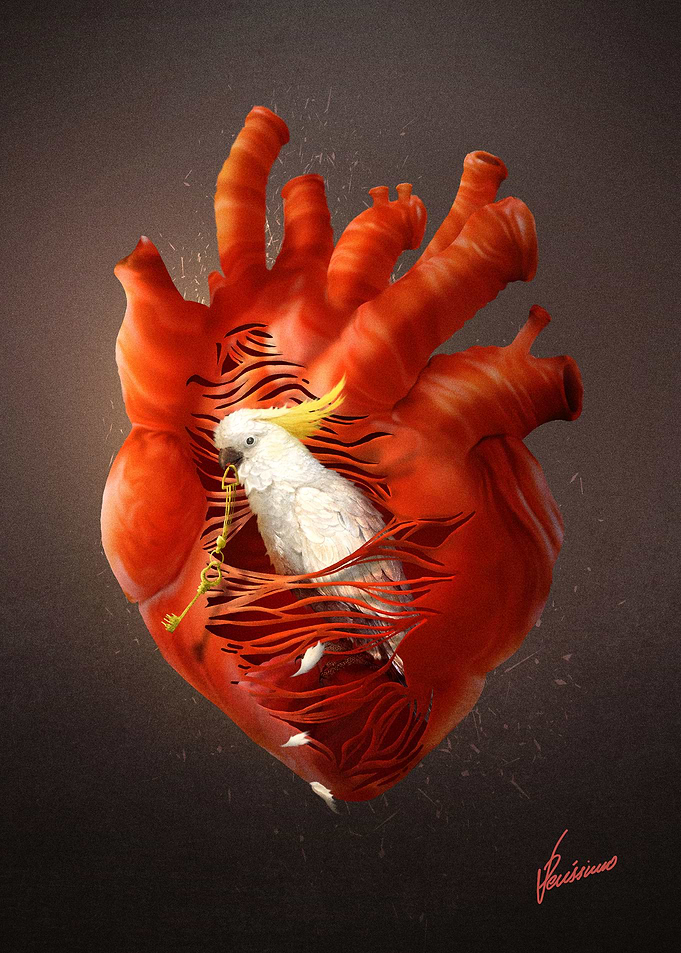Opening Heart