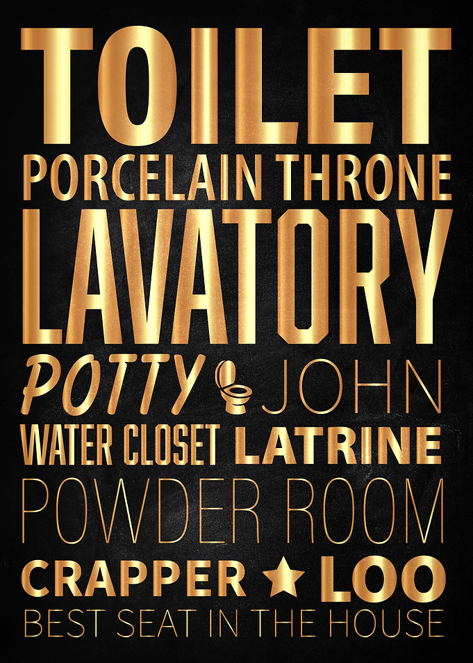 Toilet Synonyms