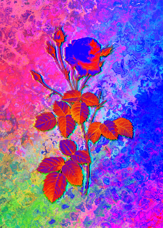 Neon Floral Illustration