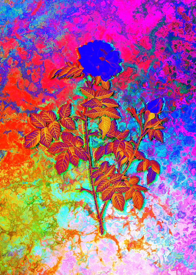 Neon Floral Illustration